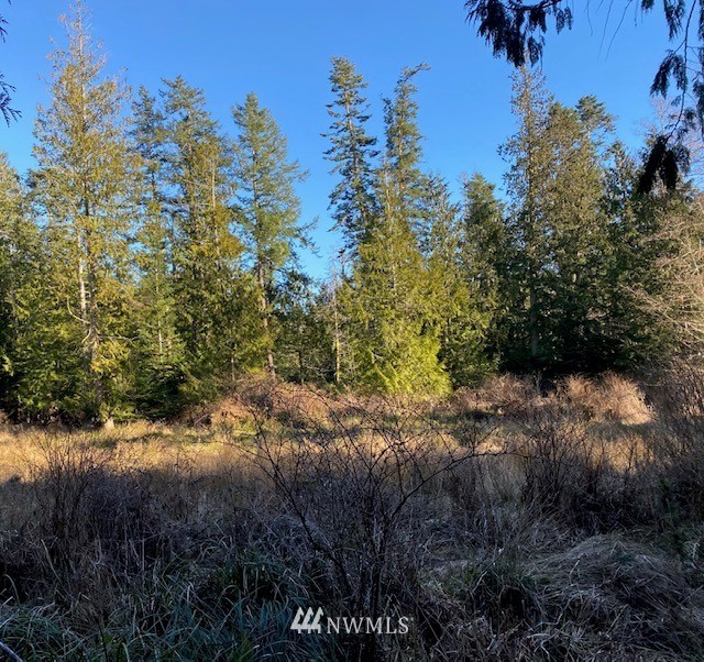 0 Decatur Head Drive Anacortes, WA 98221 - Photo 4 of 14 a view of a lush green forest with lots of trees