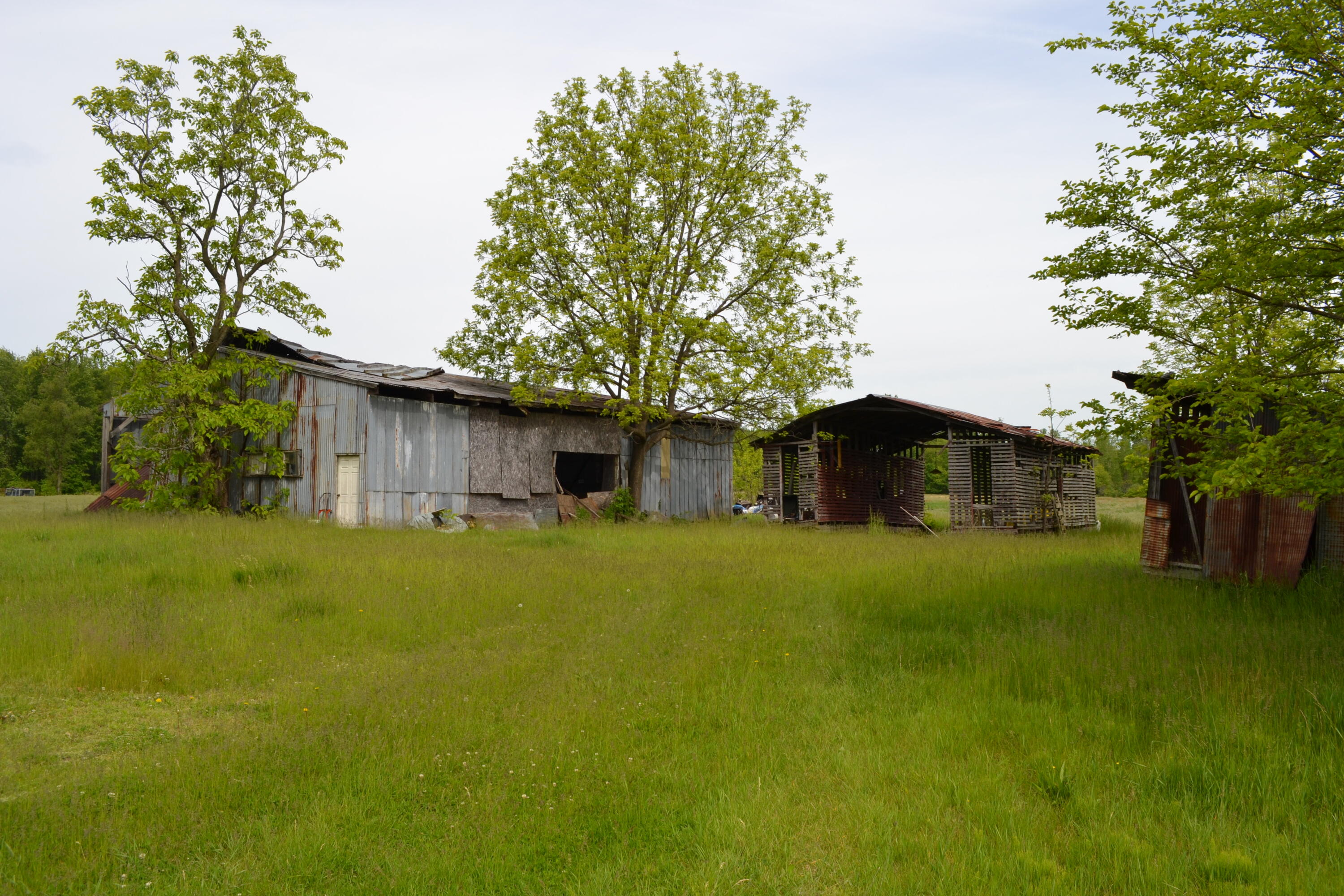 12920 Calhoun Road Milan, MI 48160 - Photo 4 of 8 DSC_1135