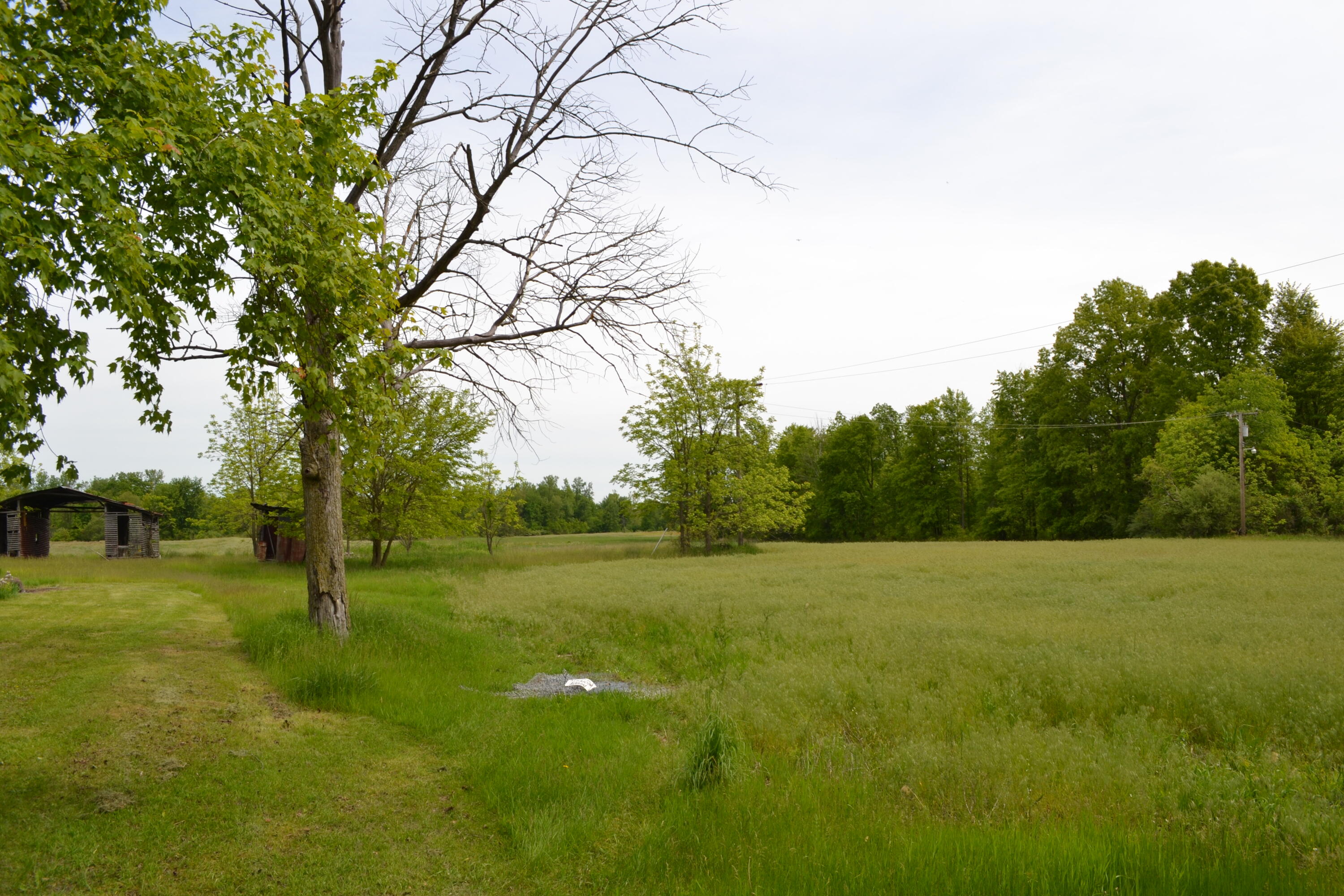 12920 Calhoun Road Milan, MI 48160 - Photo 5 of 8 DSC_1134