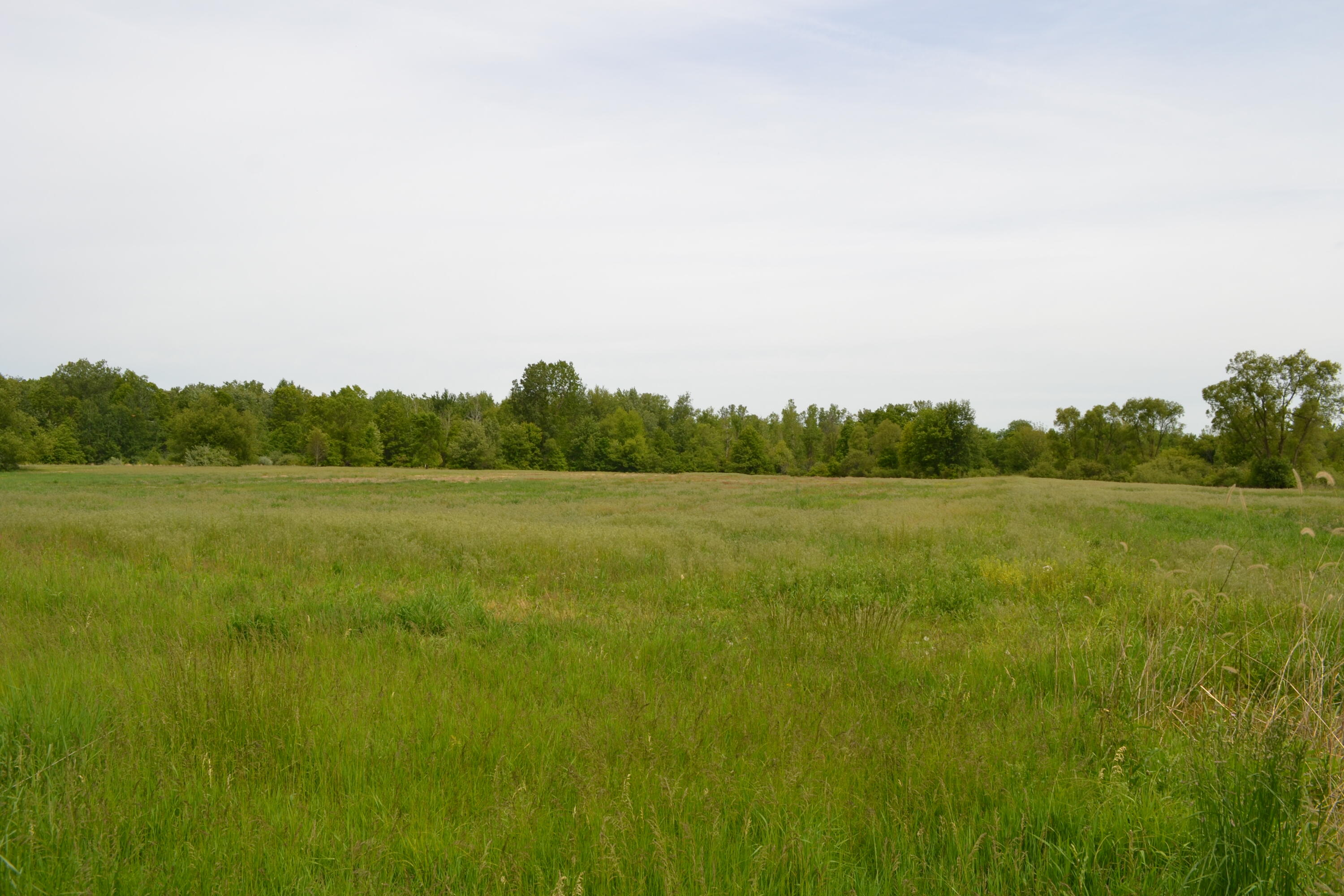 12920 Calhoun Road Milan, MI 48160 - Photo 6 of 8 DSC_1137