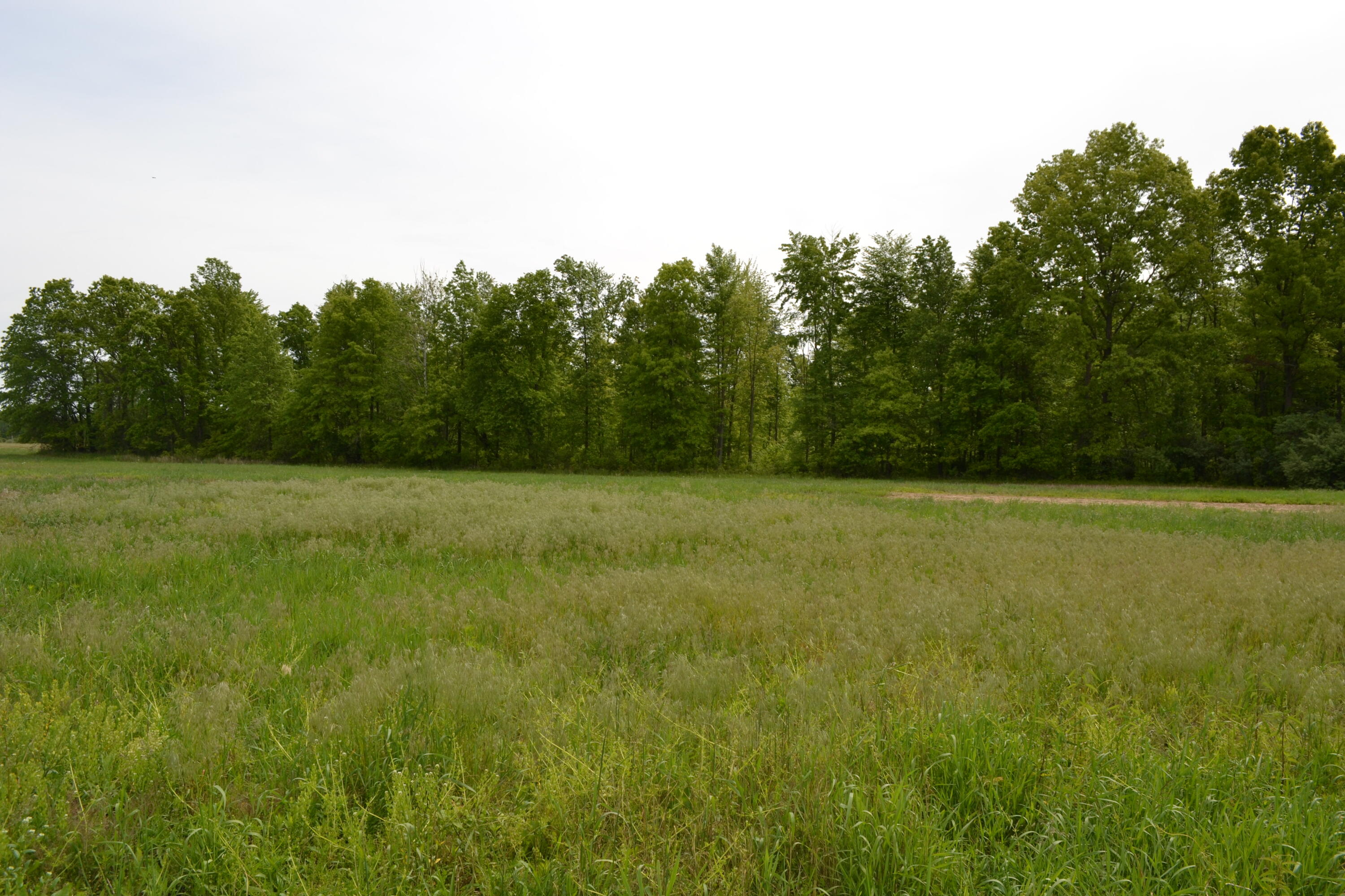 12920 Calhoun Road Milan, MI 48160 - Photo 7 of 8 DSC_1139