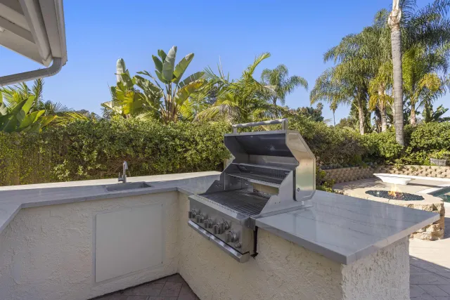 a view of a backyard with plants