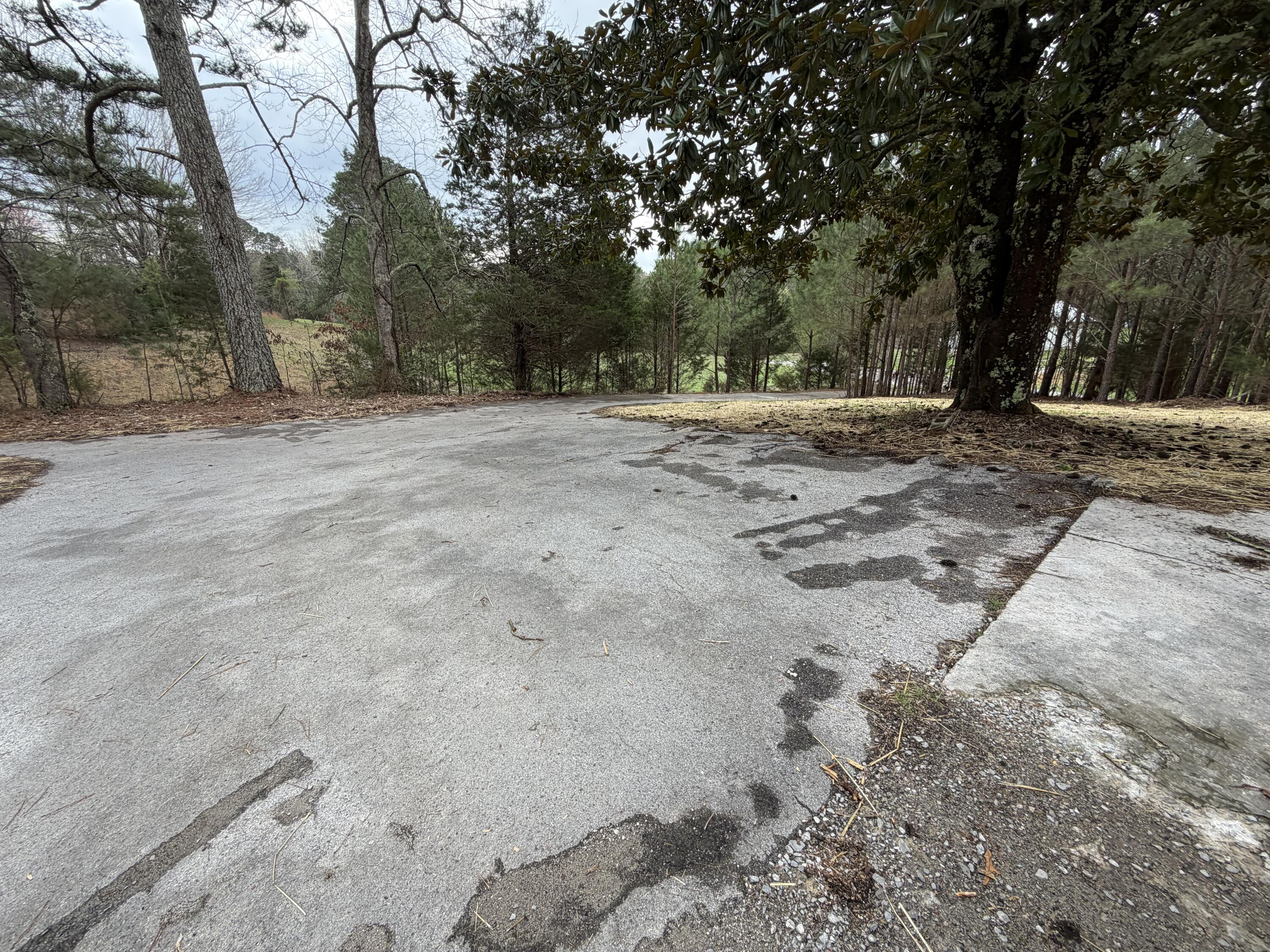 1945 Boss Road Chickamauga, GA 30707 - Photo 14 of 17 IMG_4993