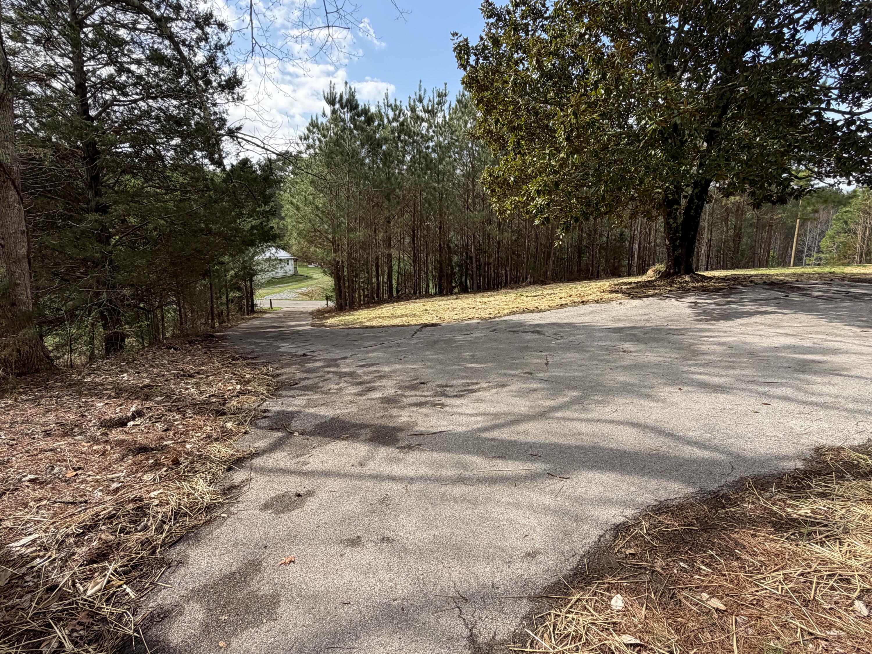 1945 Boss Road Chickamauga, GA 30707 - Photo 15 of 17 IMG_5001