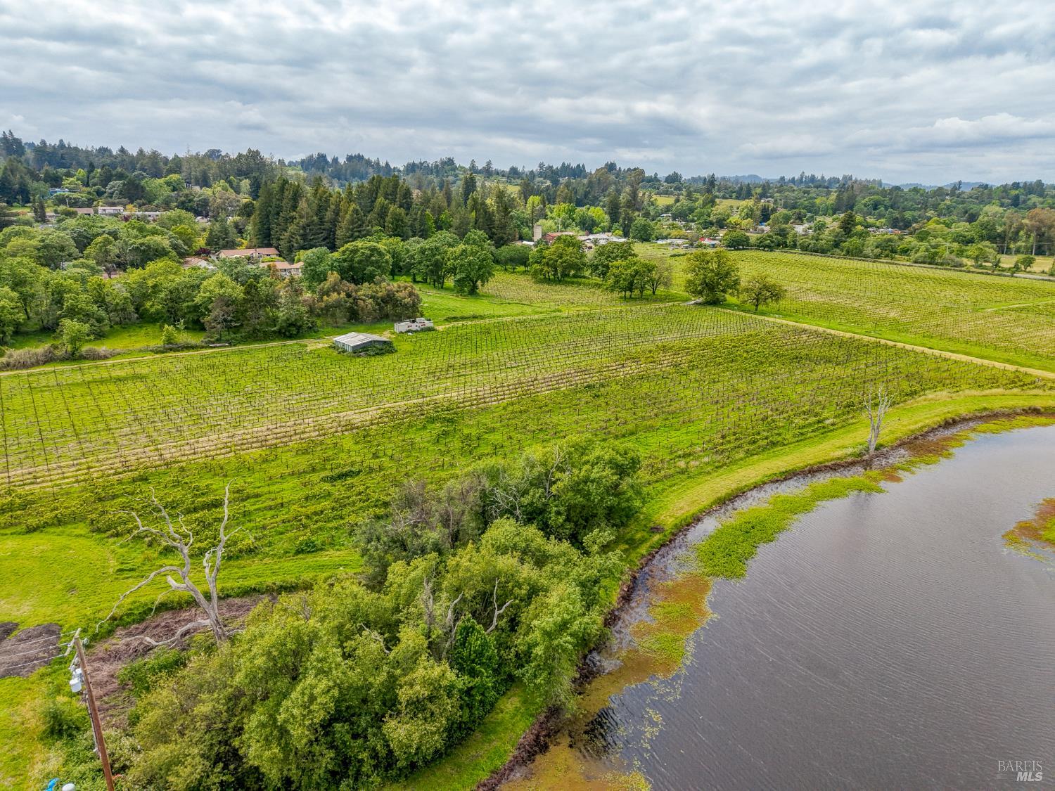9700 Mill Station Road Sebastopol, CA 95472 - Photo 9 of 50