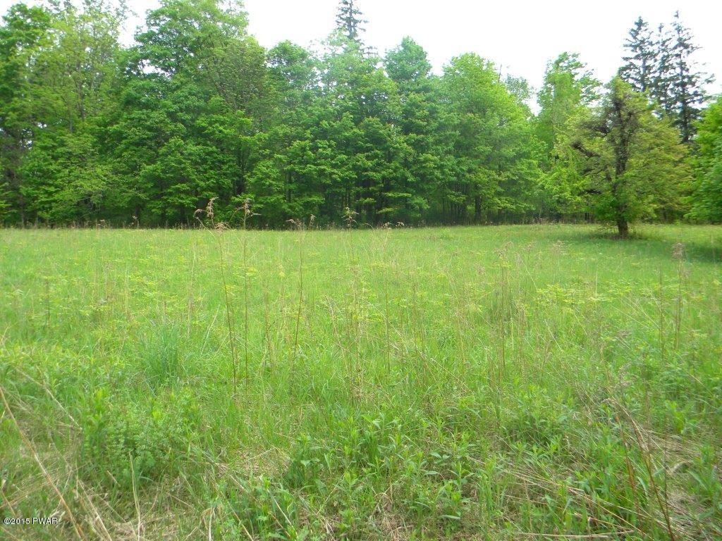 Silkman's Rd Lake Lake Ariel, PA 18436 - Photo 15 of 15