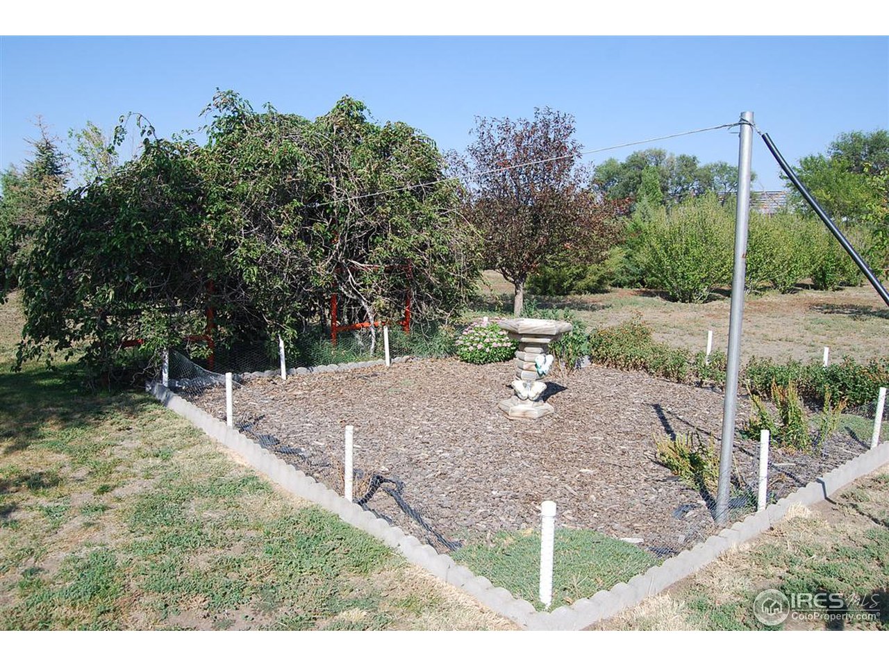 5924 County Rd G Joes, CO 80822 - Photo 10 of 19 GARDEN