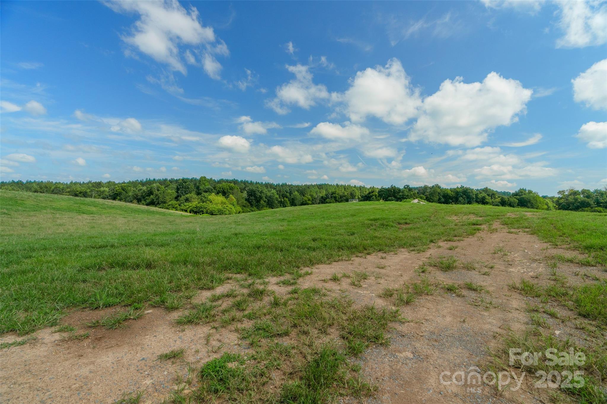 0 Lucy Short Cut Road, Unit D Marshville, NC 28103 - Photo 18 of 23 a view of a big yard with plants and large trees