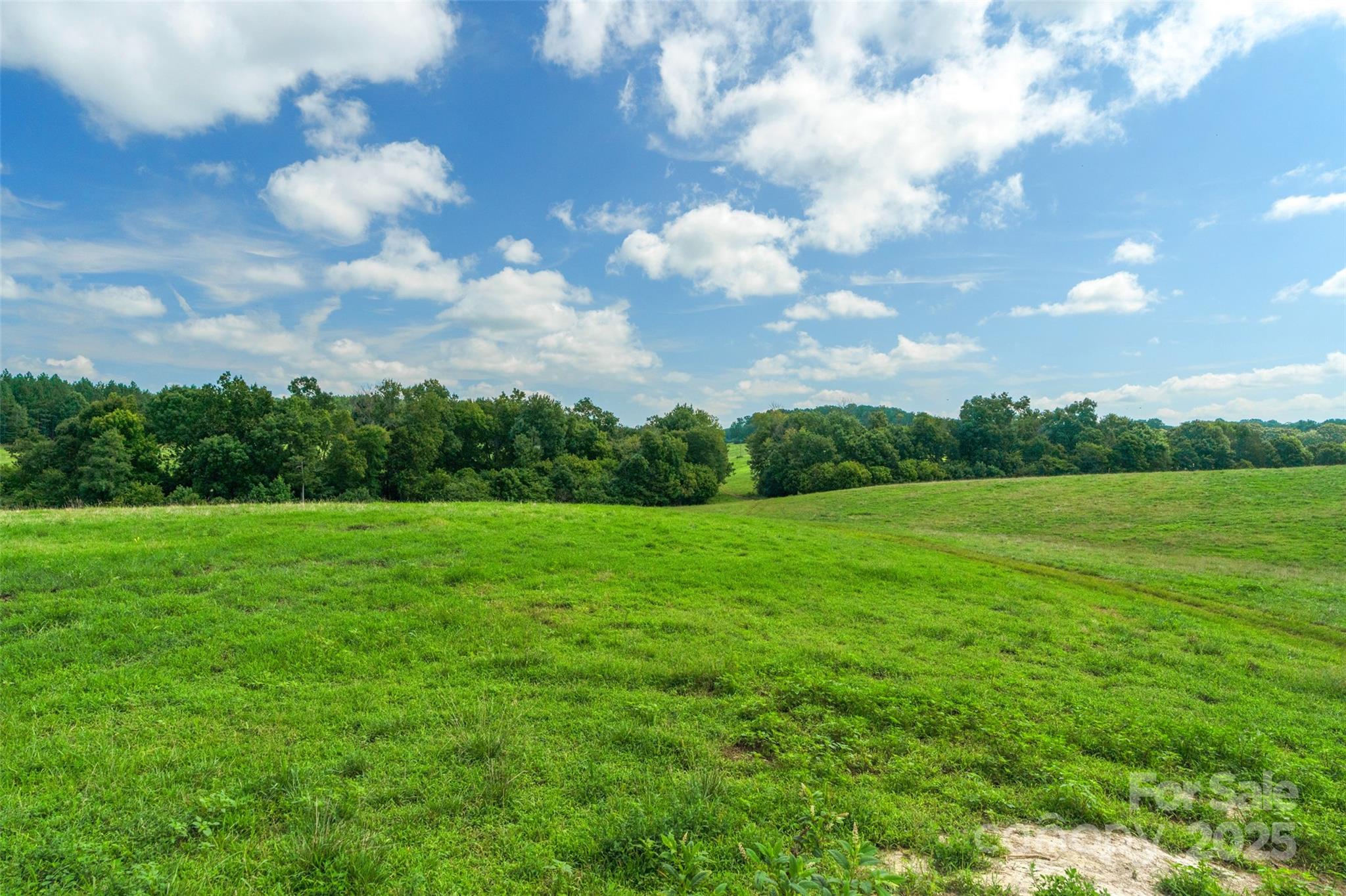 0 Lucy Short Cut Road, Unit D Marshville, NC 28103 - Photo 21 of 23 a view of field with green space