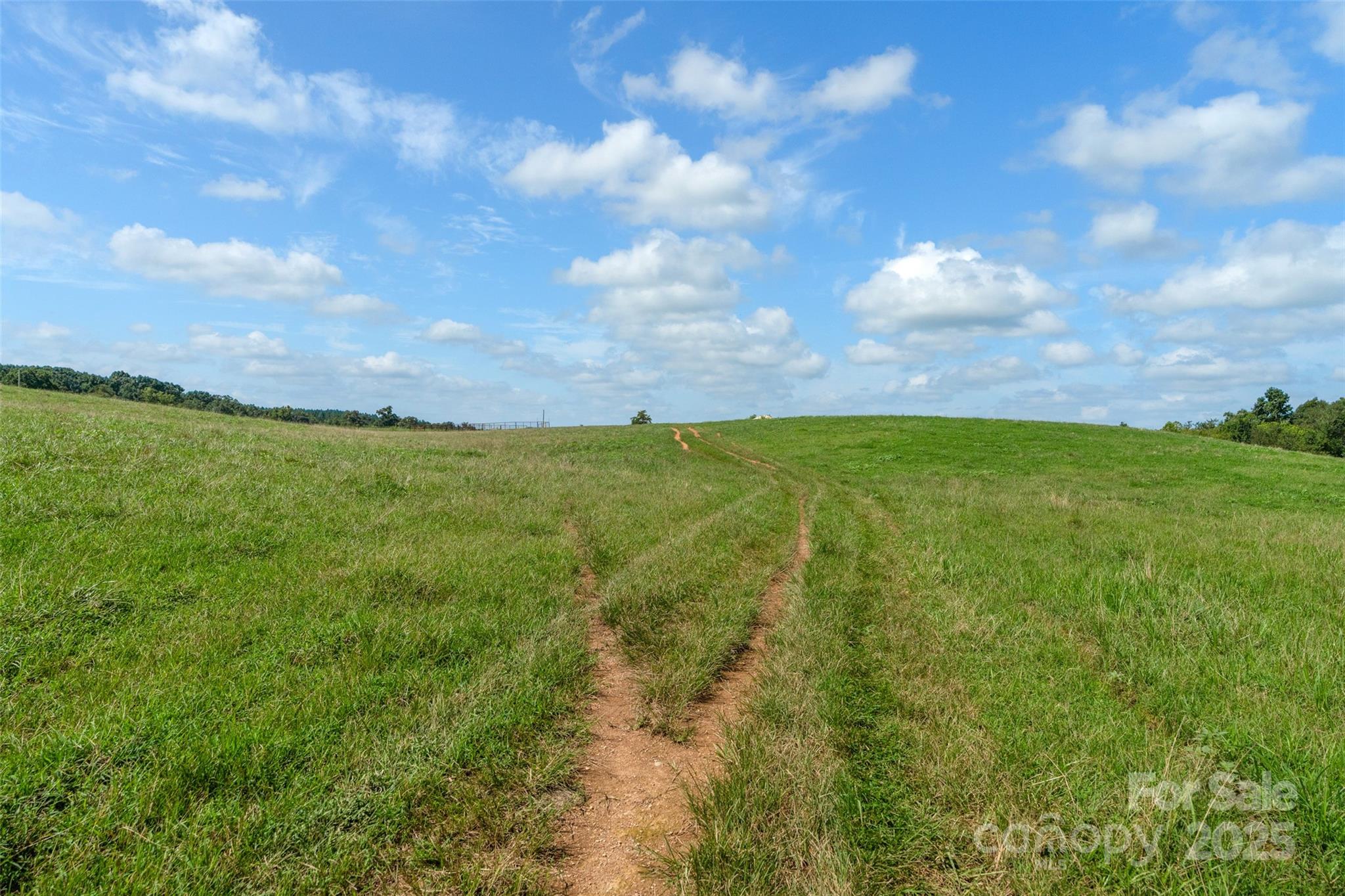 0 Lucy Short Cut Road, Unit D Marshville, NC 28103 - Photo 22 of 23 a view of a big yard with lots of bushes