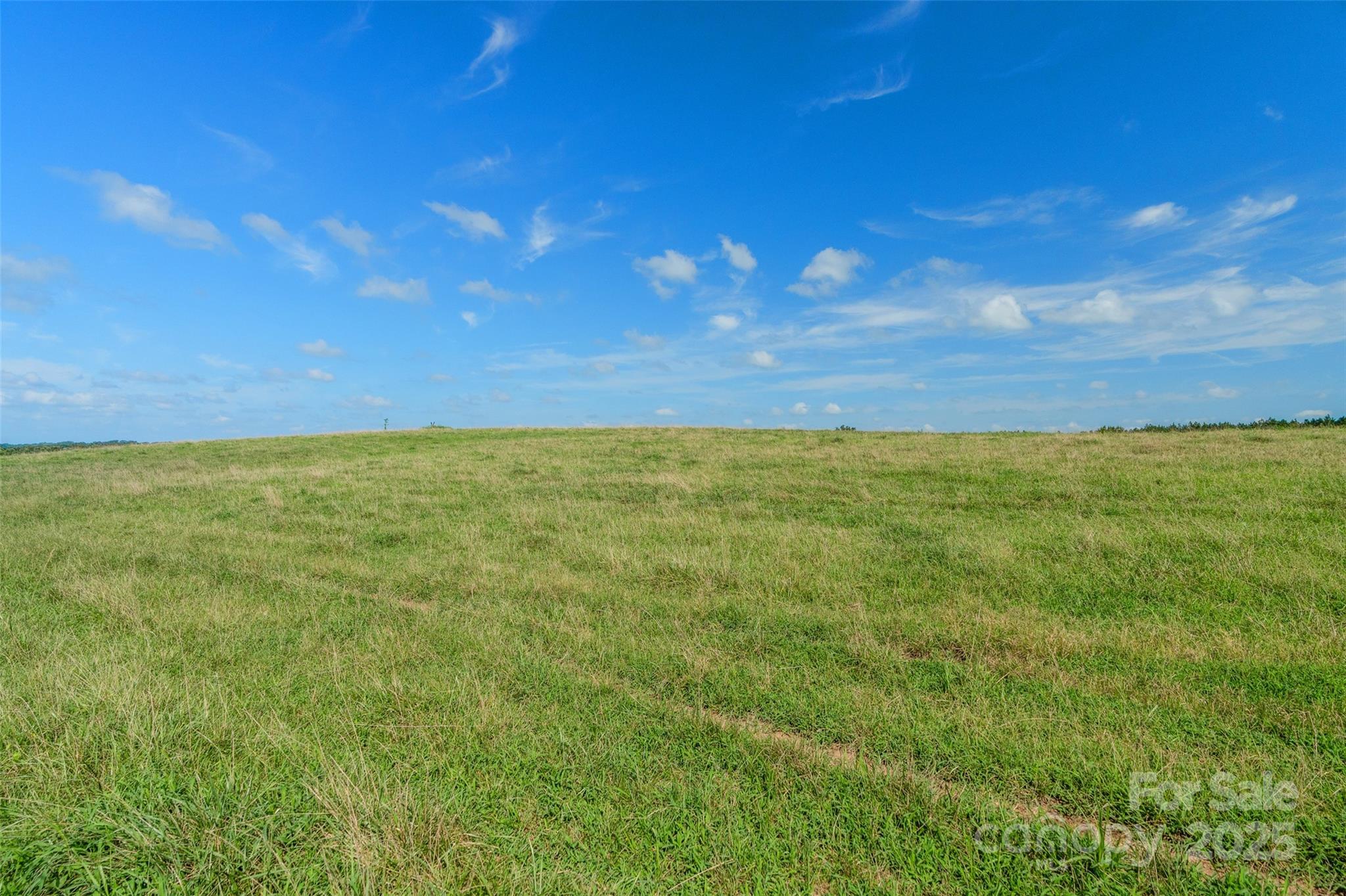 0 Lucy Short Cut Road, Unit D Marshville, NC 28103 - Photo 4 of 23 a view of yard with ocean view