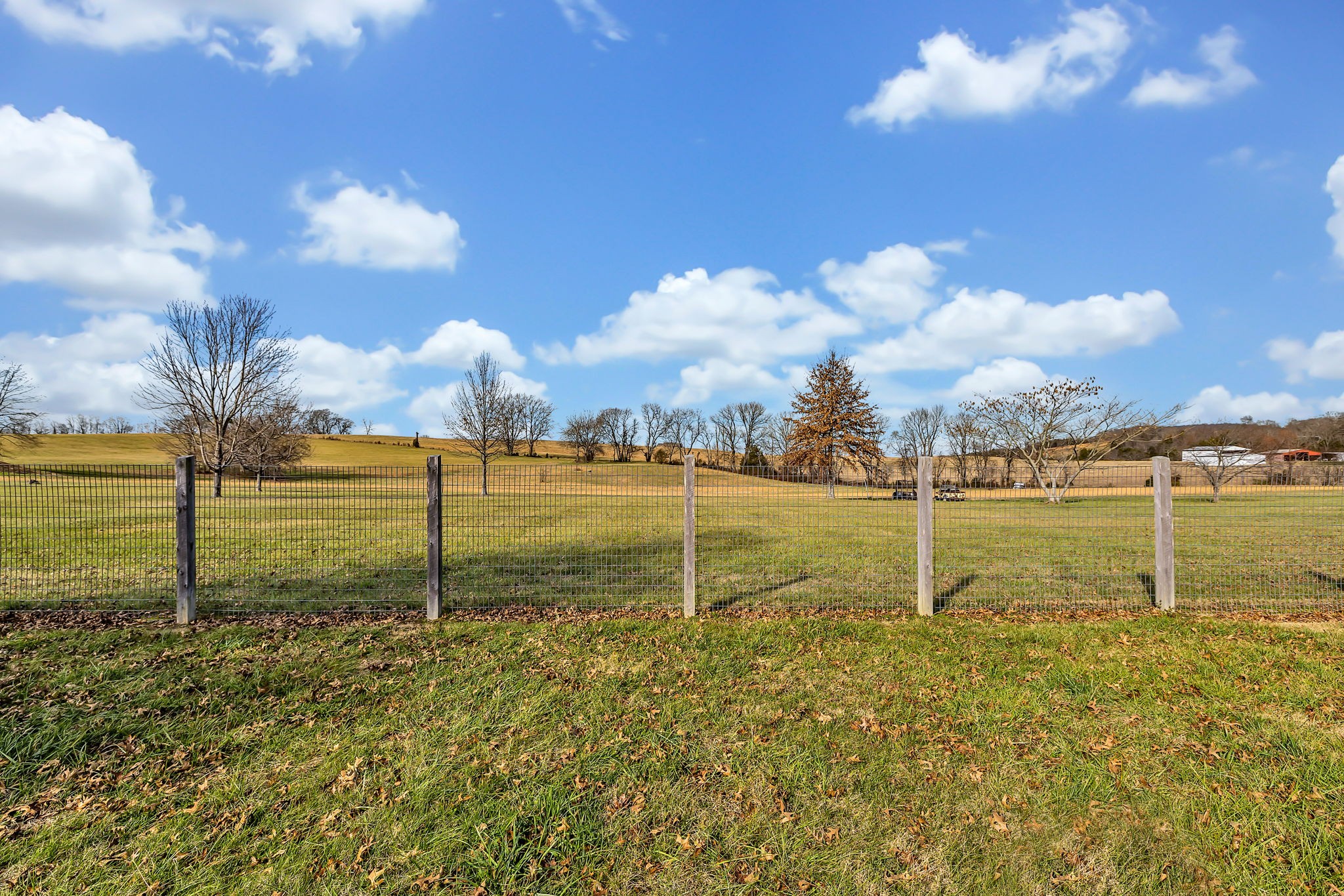 192 Old Alexandria Road Watertown, TN 37184 - Photo 29 of 33 Gallery Image 29