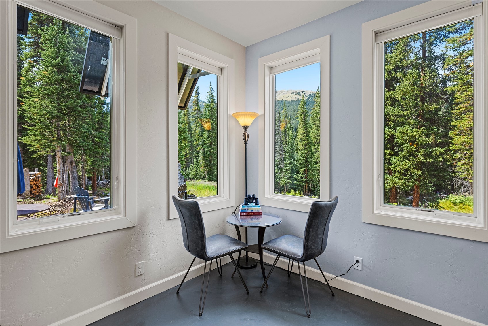 125 Webster Pass Road Dillon, CO 80435 - Photo 10 of 35 Gallery Image 10