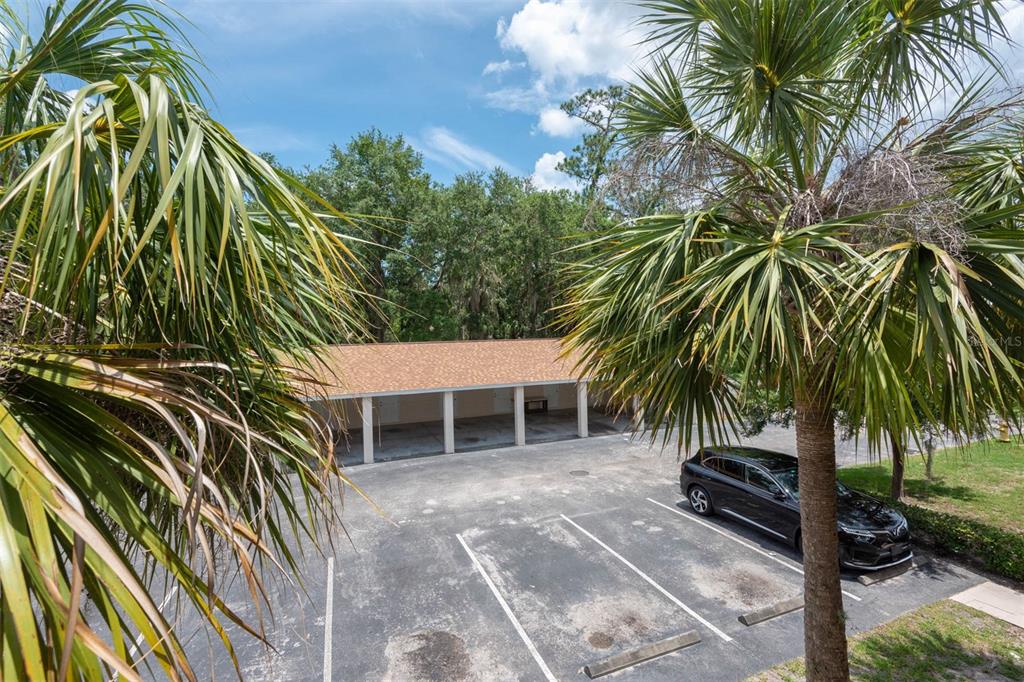 946 15th Street, Unit 202 Daytona Beach, FL 32117 - Photo 10 of 40 a view of a backyard with a plant
