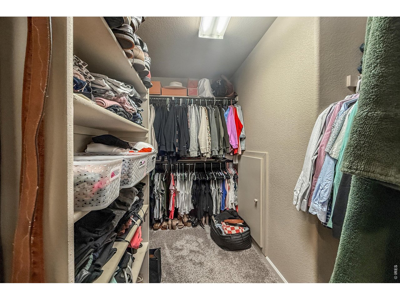 915 Snowy Plain Road Fort Collins, CO 80525 - Photo 28 of 50 Walk-in Closet