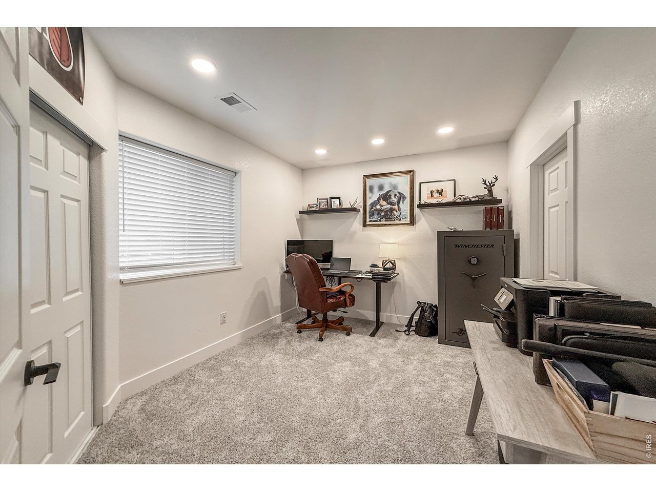 915 Snowy Plain Road Fort Collins, CO 80525 - Photo 44 of 50 Basement Bedroom 2/Office