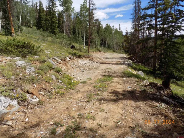 a big yard with lots of green space
