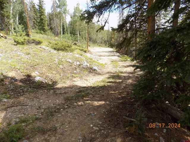 a view of a yard with trees