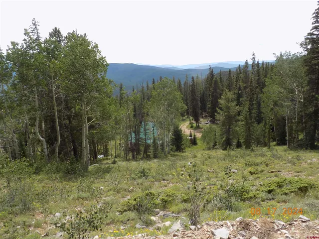a view of a field with trees in the background