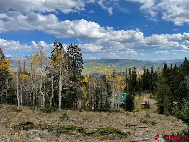 a view of a yard with plants
