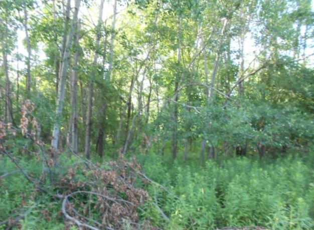 9364 West Monroe Road Elwell, MI 48832 - Photo 32 of 32 1820549-31.JPG