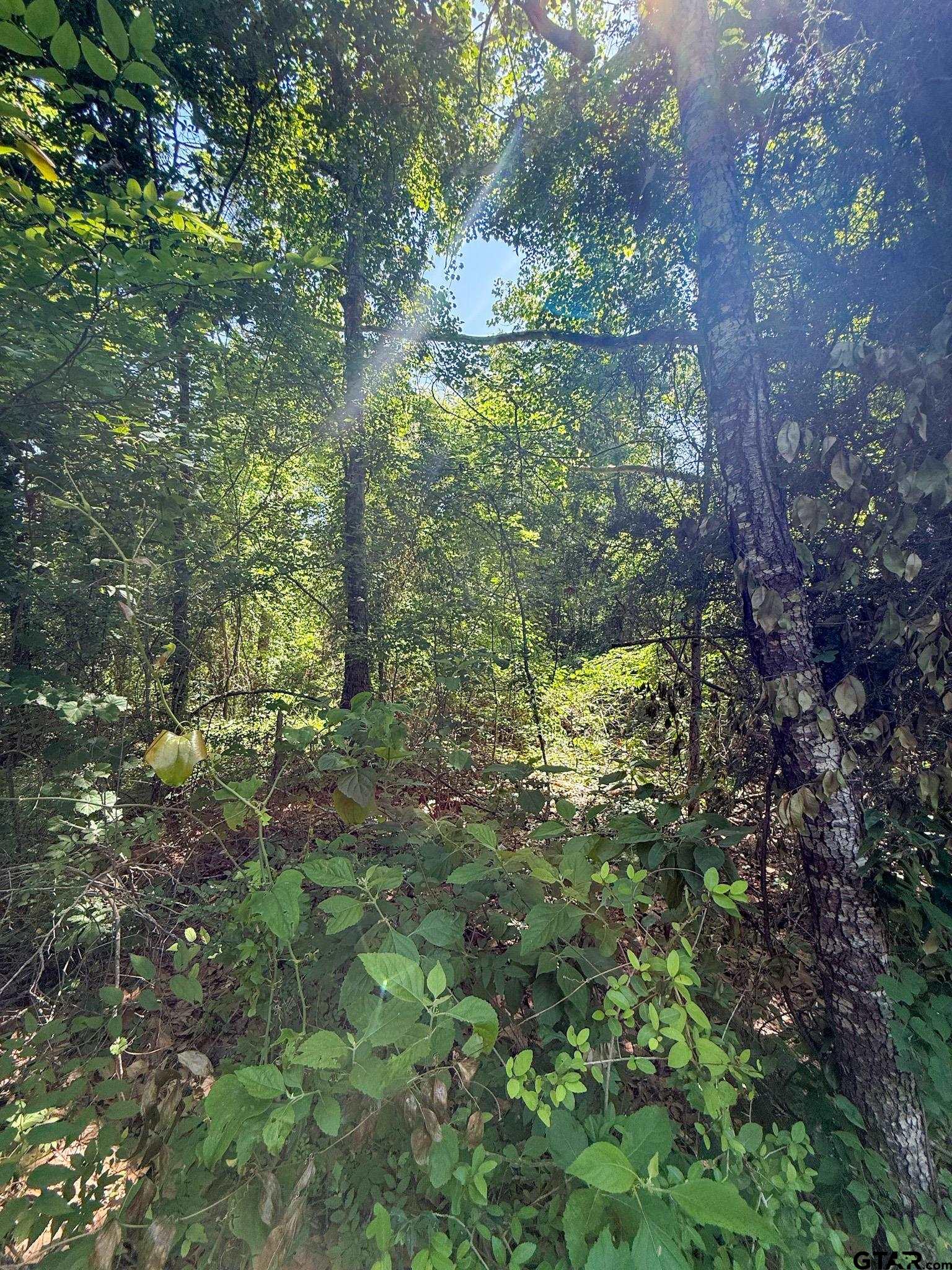 1329 C R 2112 Rusk, TX 75785 - Photo 5 of 13 a view of outdoor space and green space