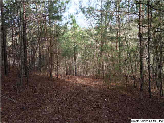 734 Valley Grove Road, Unit 15 4 ACR Remlap, AL 35133 - Photo 3 of 32