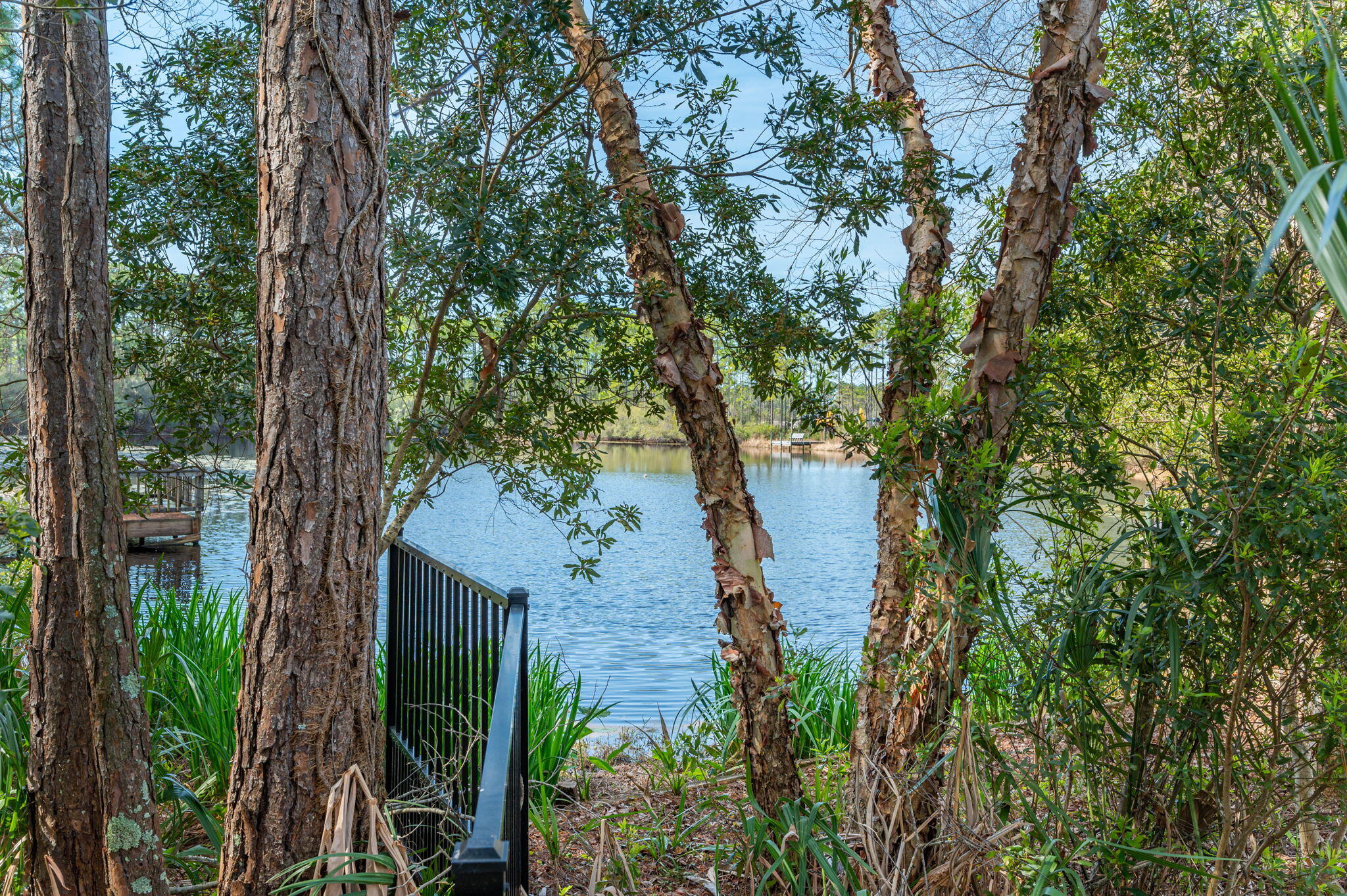 30 Fox Lake Drive Santa Rosa Beach, FL 32459 - Photo 77 of 90