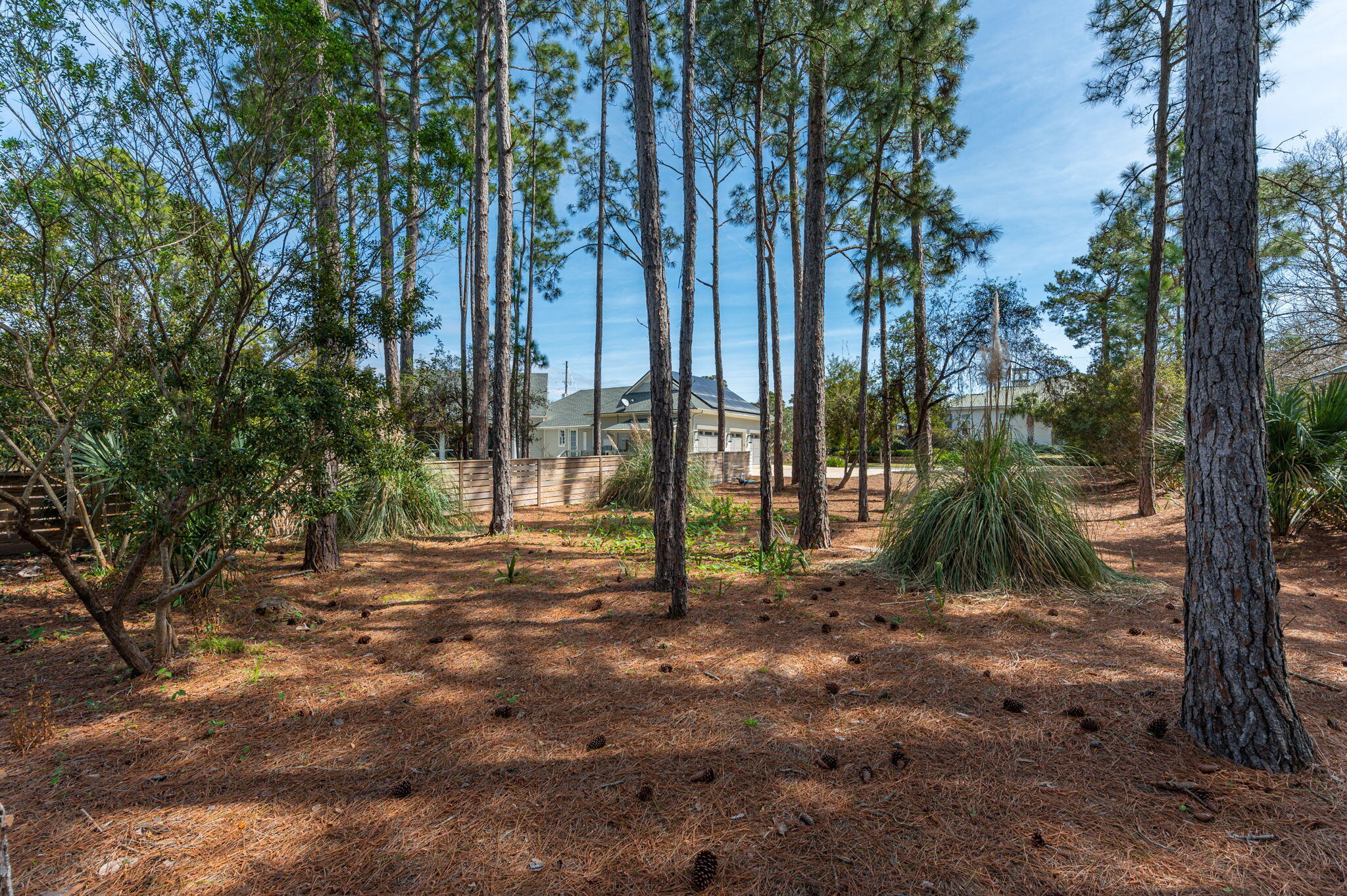 30 Fox Lake Drive Santa Rosa Beach, FL 32459 - Photo 78 of 90 a view of outdoor space with trees