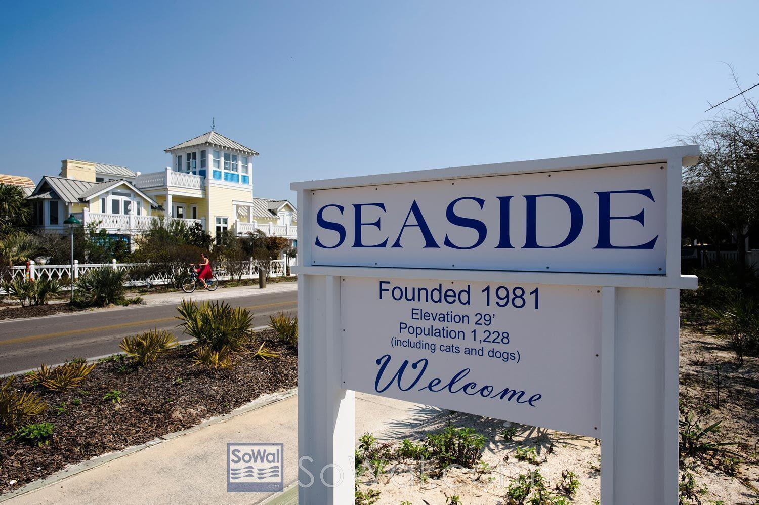 30 Fox Lake Drive Santa Rosa Beach, FL 32459 - Photo 87 of 90