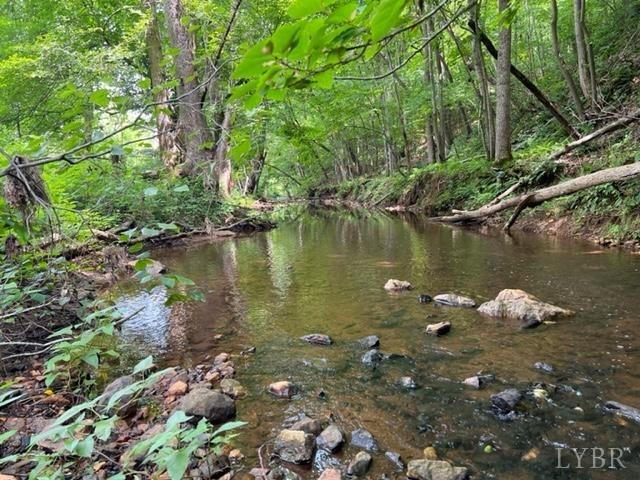 4 South Fork Road Appomattox, VA 24522 - Photo 3 of 6 Gallery Image 3