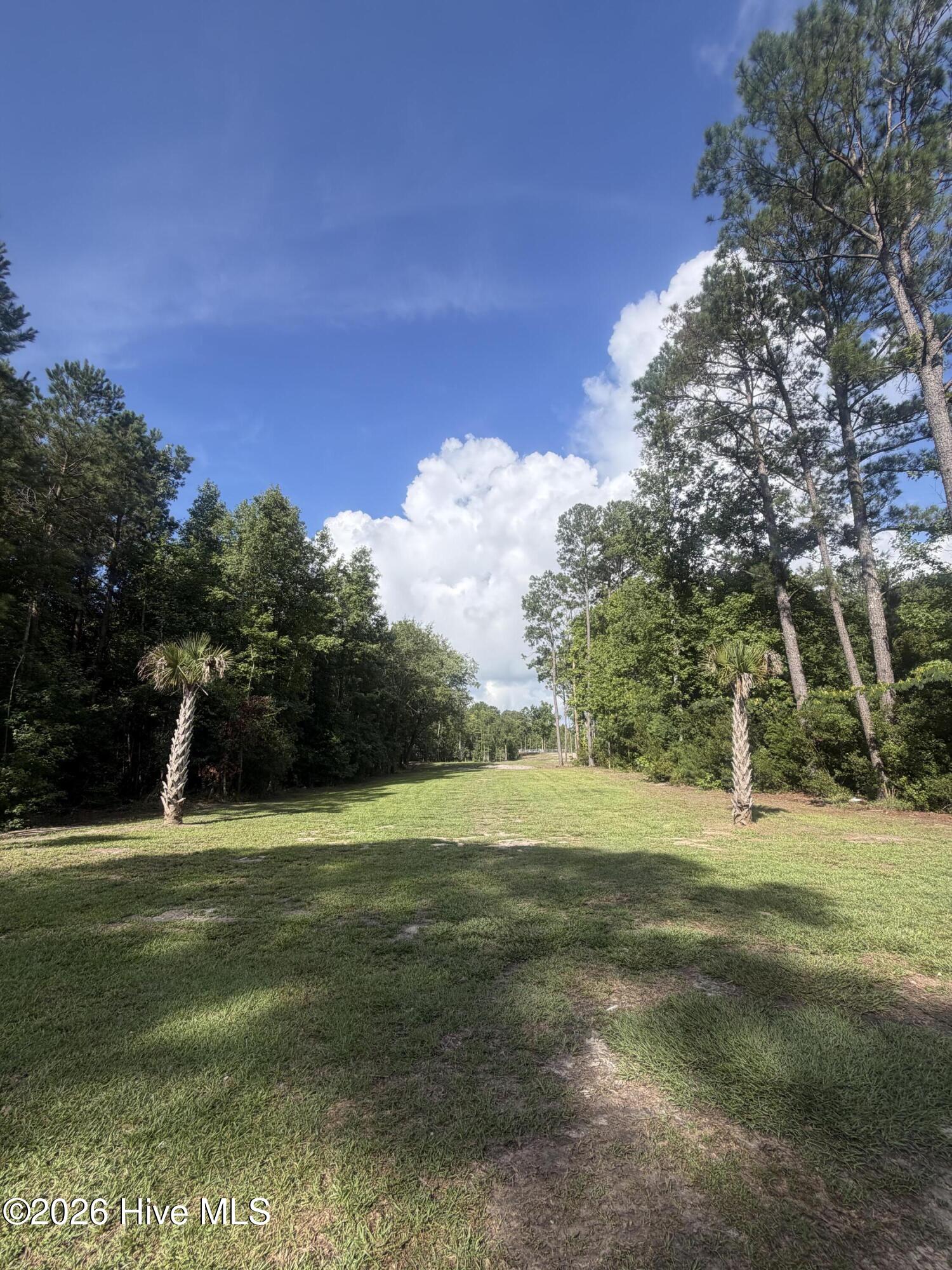 369 Randolphville Road Northeast Bolivia, NC 28422 - Photo 3 of 6 Gallery Image 3