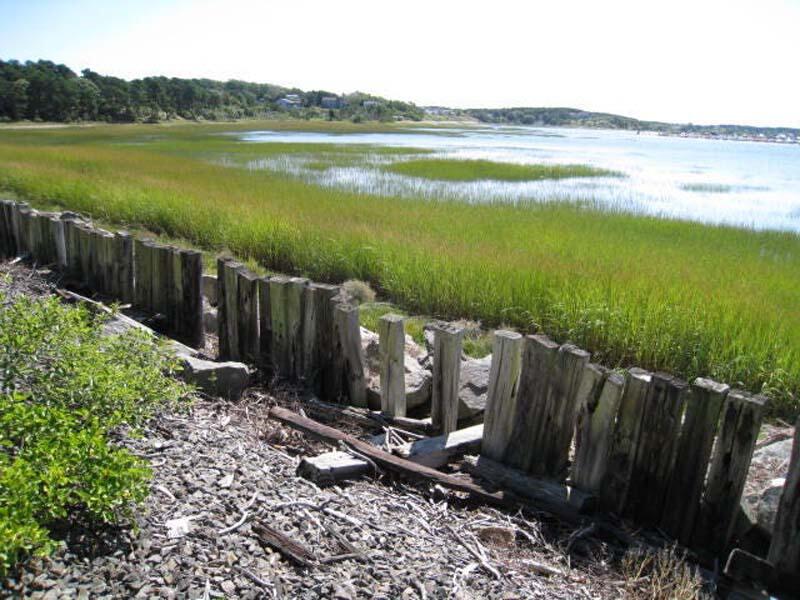 125 Pine Point Road Wellfleet, MA 02667 - Photo 18 of 49 a view of a garden and lake