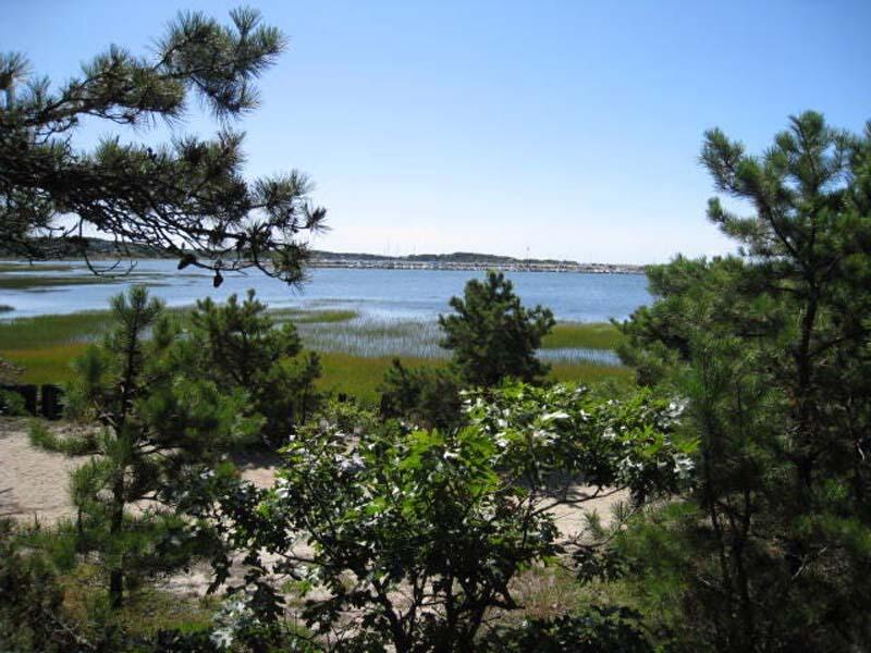 125 Pine Point Road Wellfleet, MA 02667 - Photo 2 of 49 a view of a lake with a houses