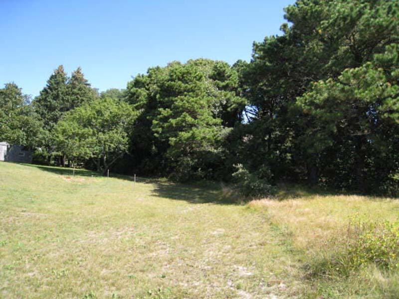 125 Pine Point Road Wellfleet, MA 02667 - Photo 22 of 49 a view of a yard with a tree