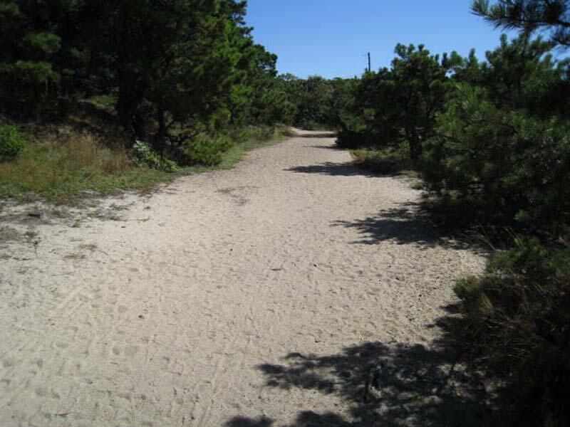 125 Pine Point Road Wellfleet, MA 02667 - Photo 36 of 49 a view of dirt field with trees in background