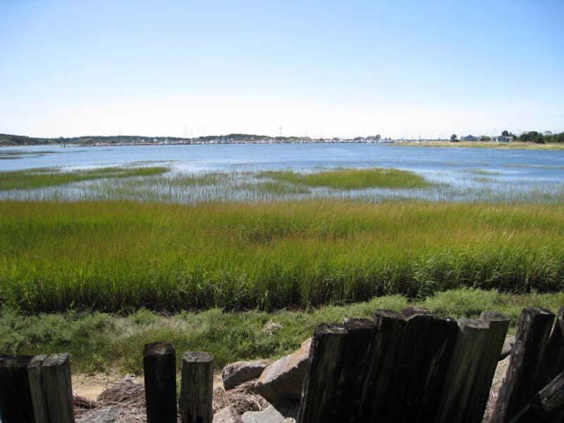 125 Pine Point Road Wellfleet, MA 02667 - Photo 4 of 49