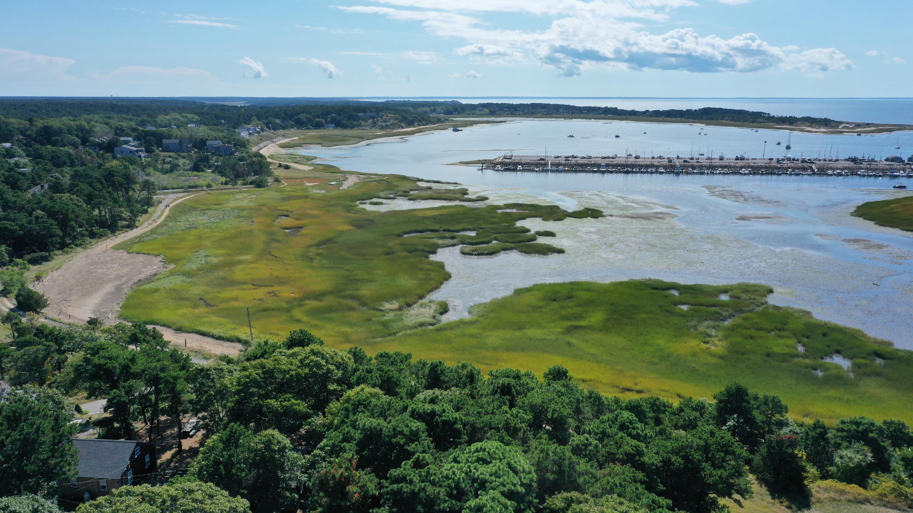125 Pine Point Road Wellfleet, MA 02667 - Photo 45 of 49 a view of a lake with a beach