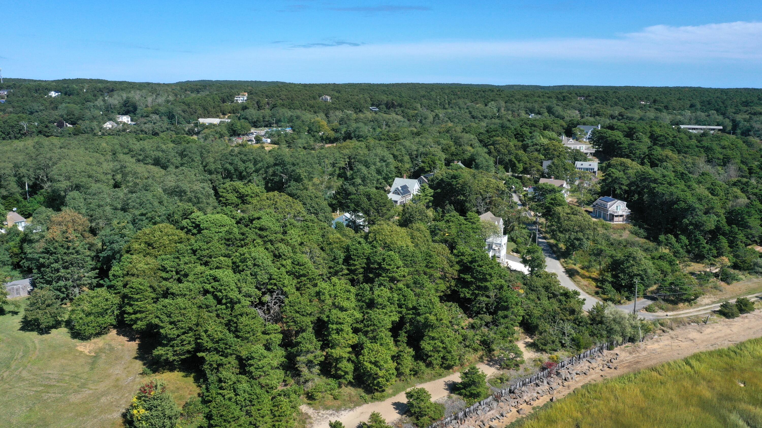 125 Pine Point Road Wellfleet, MA 02667 - Photo 46 of 49 a view of a green field with lots of bushes