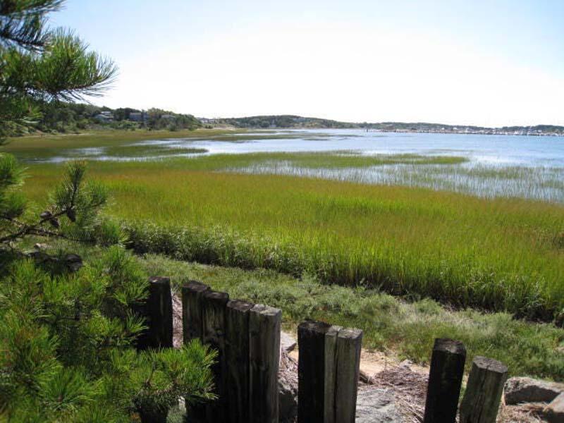 125 Pine Point Road Wellfleet, MA 02667 - Photo 6 of 49 a view of lake with mountain