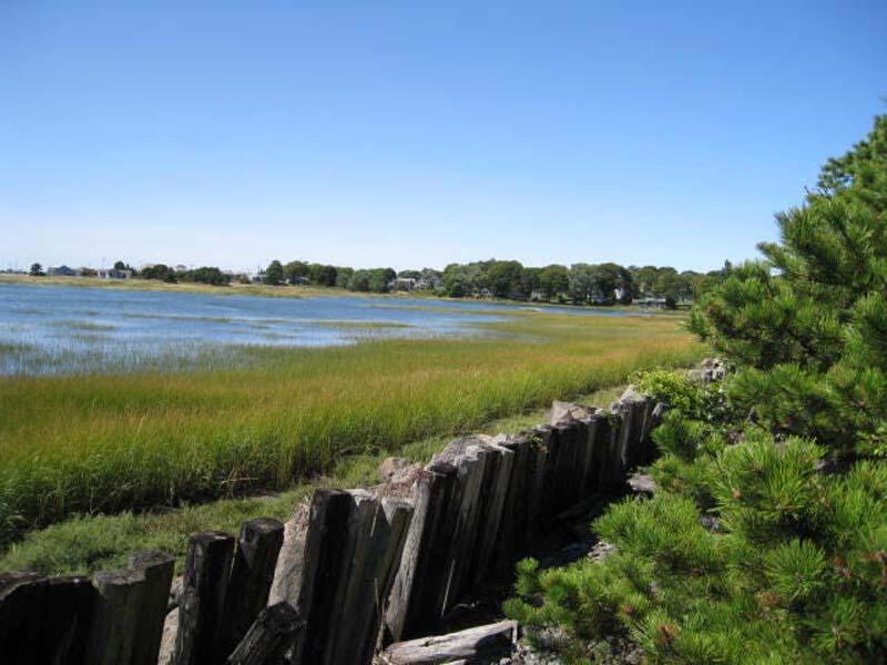 125 Pine Point Road Wellfleet, MA 02667 - Photo 10 of 49 a view of outdoor space and yard