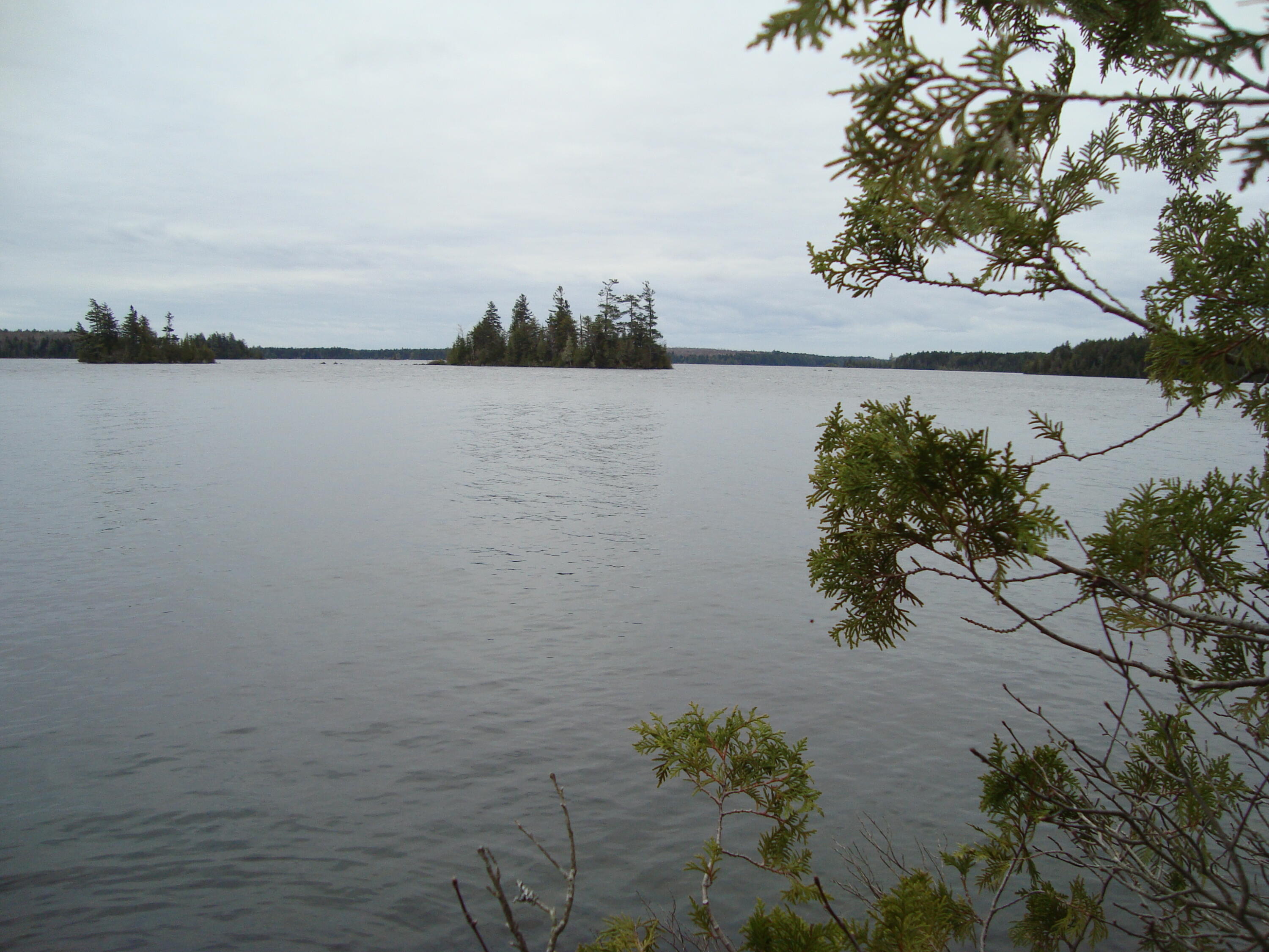 Lot G Birch Pt Road Cooper, ME 04657 - Photo 10 of 13 DSC02951