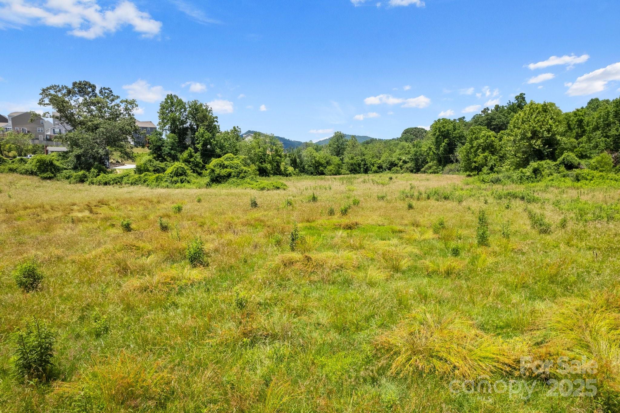 9999 Holbrook Road Asheville, NC 28806 - Photo 17 of 29 a view of a big yard with lots of green space