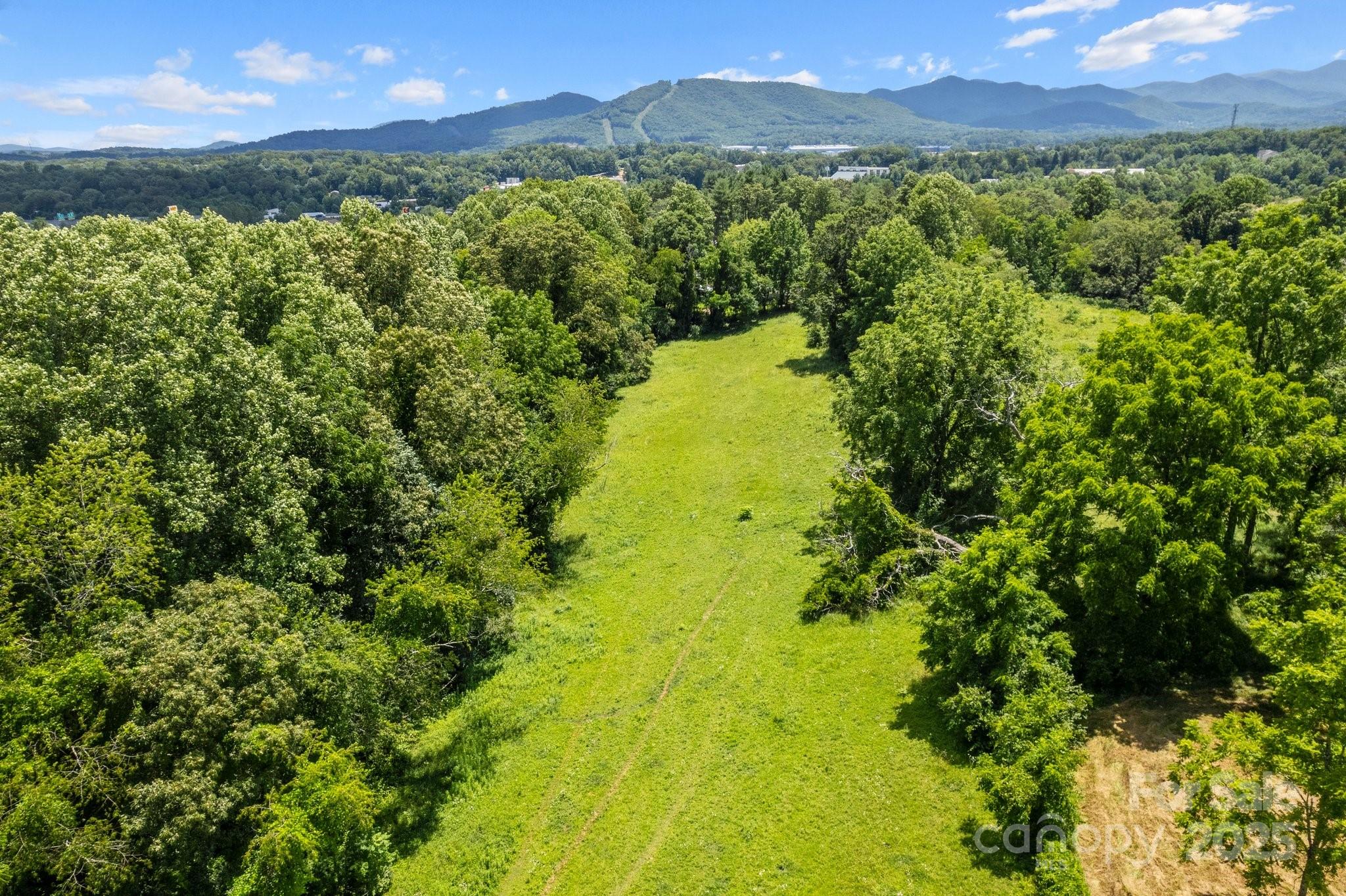 9999 Holbrook Road Asheville, NC 28806 - Photo 8 of 29 a view of a lake with a mountain