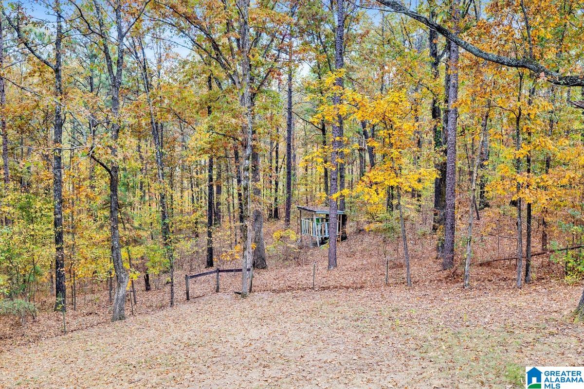 621 Hodgens Road Chelsea, AL 35043 - Photo 45 of 59 Gallery Image 45