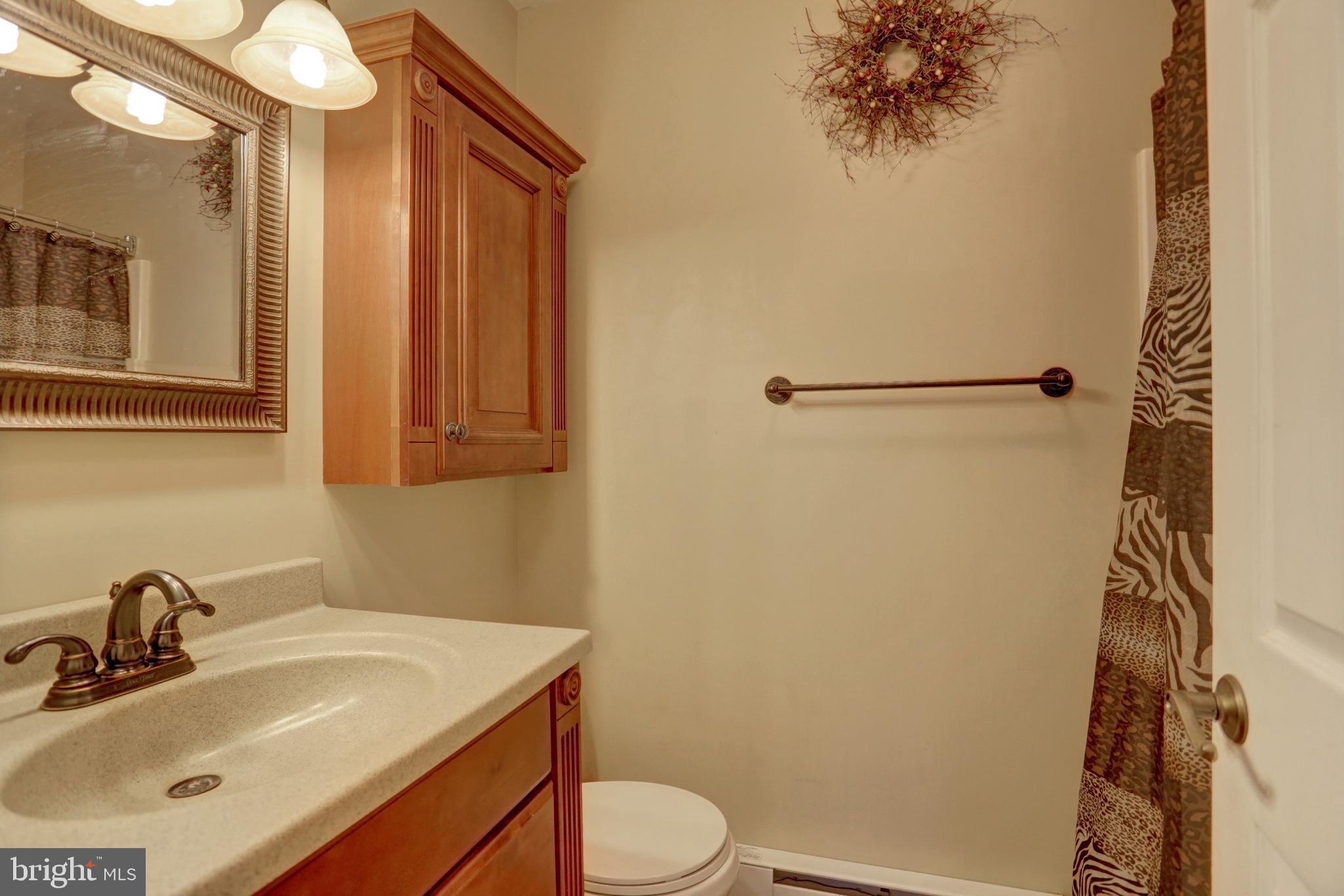 21 Clay Road Carlisle, PA 17015 - Photo 18 of 49 Gallery Image 18