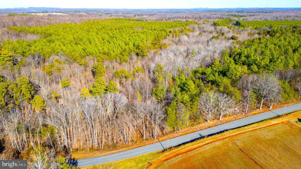 Redfields Road Appomattox, VA 24522 - Photo 4 of 10 Gallery Image 4
