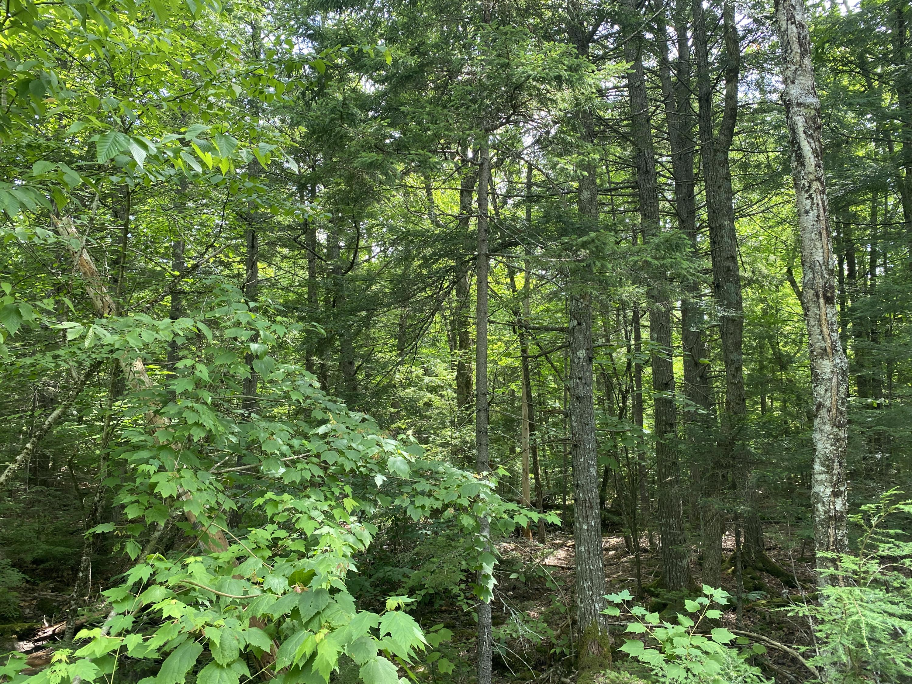 1509 Otis Road Ellsworth, ME 04605 - Photo 23 of 26 IMG_3894