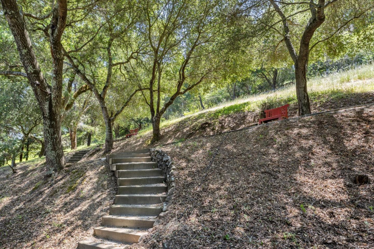 19 Preston Road Woodside, CA 94062 - Photo 24 of 30 a view of a yard with large trees