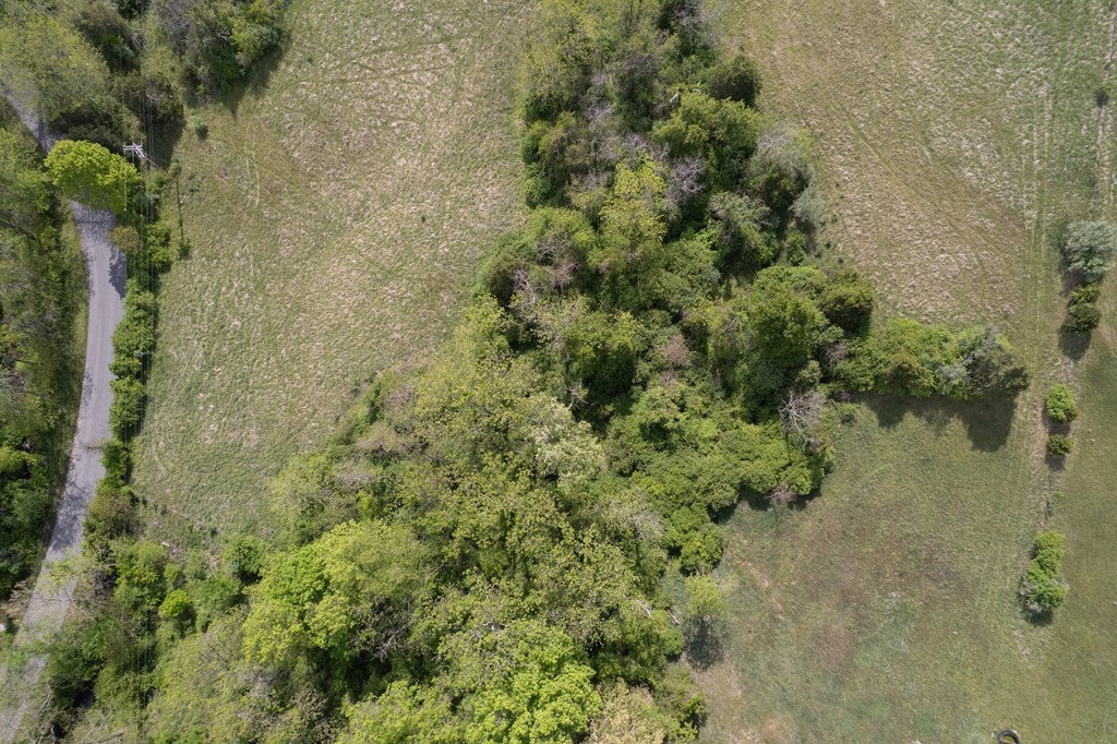 Tbd Reed Creek Mill Road Wytheville, VA 24382 - Photo 16 of 22 Gallery Image 16